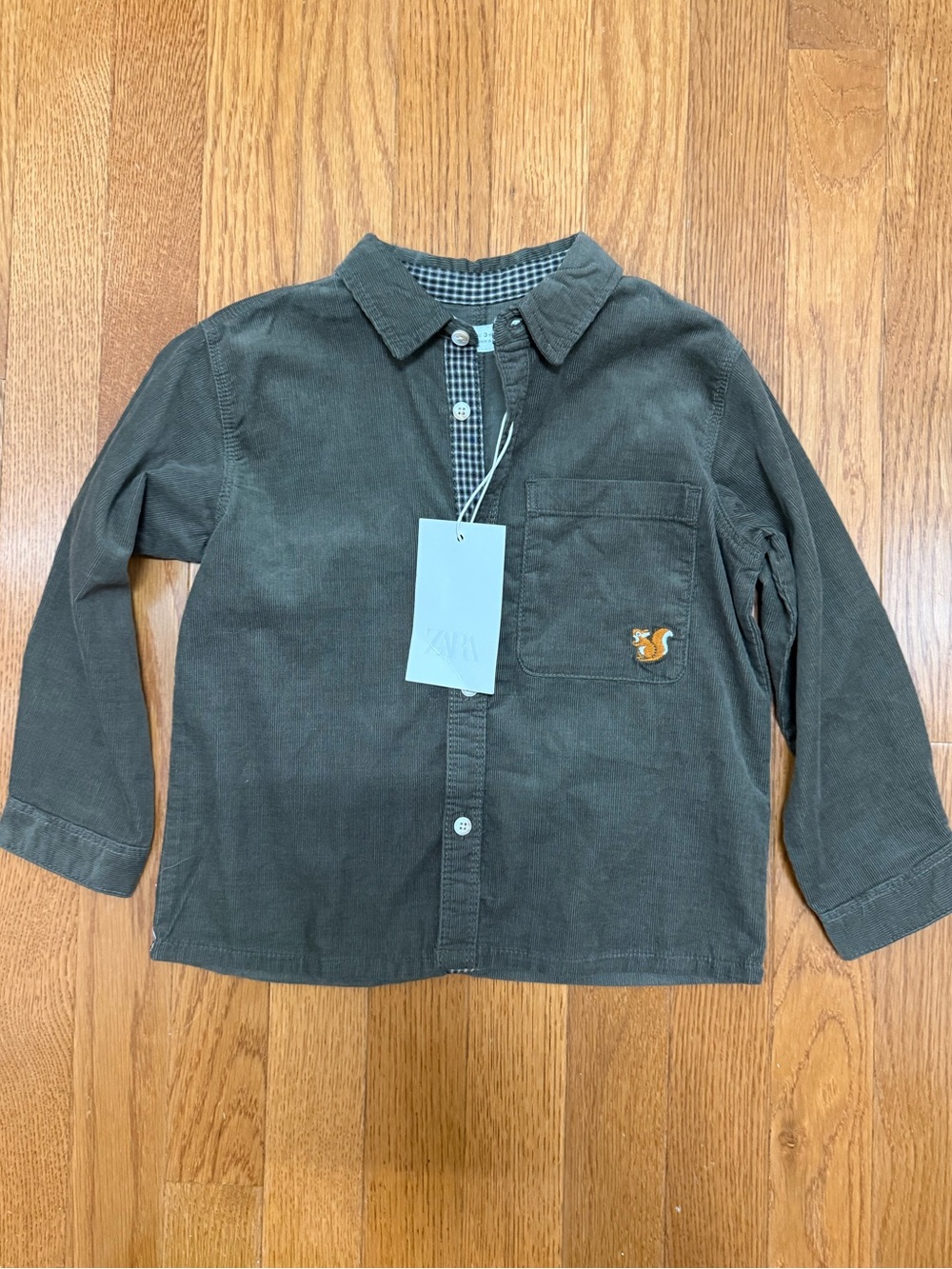 NWT Zara Button Down